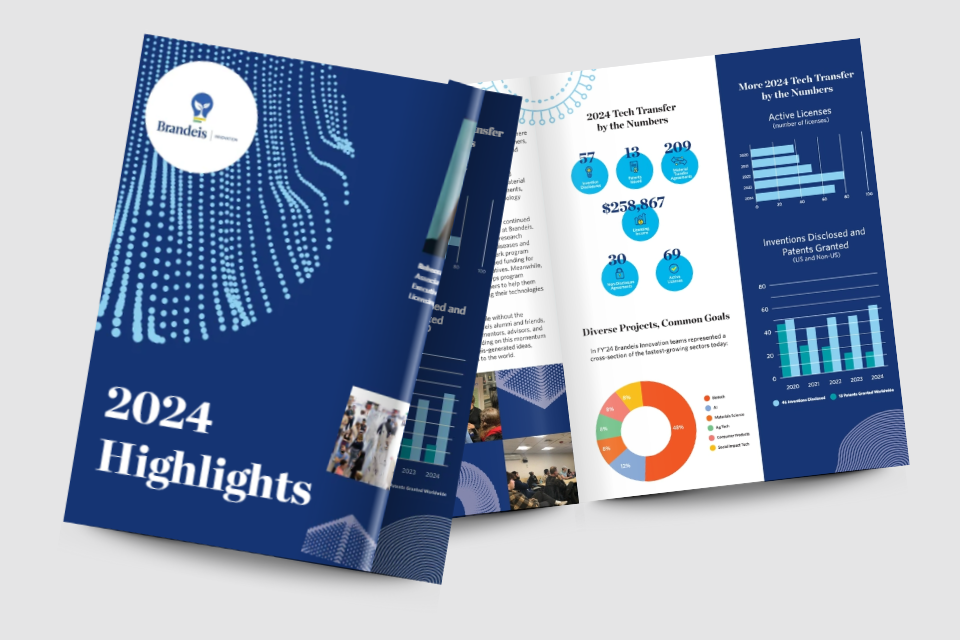 highlights of fiscal year 2024